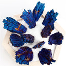 the PEACOCK FEATHER - Black Tourmaline Peacock Feather Electroplated Crystal Healing Reiki Mineral Specimen DIY Jewelry, Home Decoration Rainbow Stone