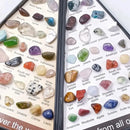 the GEMSTOME PYRAMID - 36 PCS/Box Natural Healing Crystals Mineral Specimens Irregular Tumbled Stones Rock Collection Box For Kids Research Teaching
