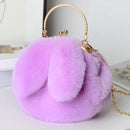 the BUNNY BAG - Cute Plush Rabbit Crossbody Bags for Women, Cute Purses and Handbags, New Rabbit Ear Shoulder Messenger Bag