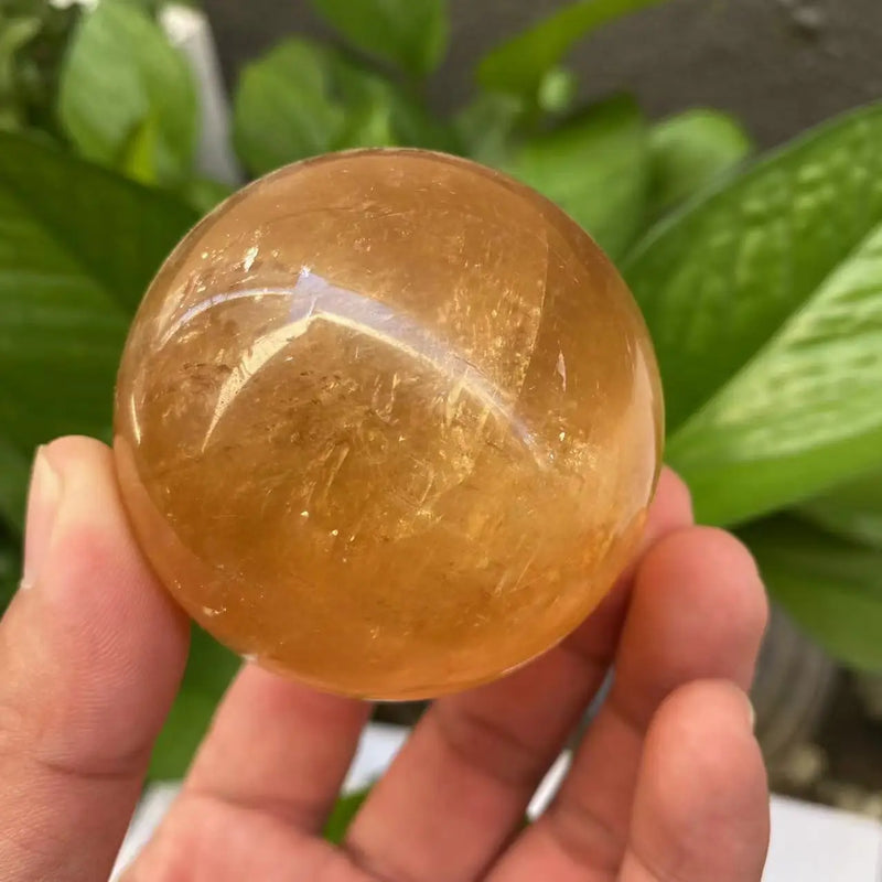 1PC Natural Citrine Calcite Quartz Crystal Sphere Ball Healing Gemston Home Decor+ wood bracket