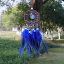 the FEATHER DREAM CATCHER - Natural Agate Dream Catchers, 7 Chakra Crystal Gemstone Dream Catcher, Tree Life Crystal Feather Dream Catchers, Bedroom Hangings