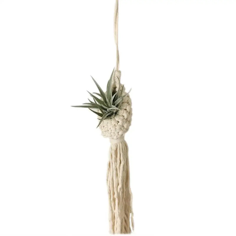 the WOVEN WALL - Macrame Wall Decor Handmade Tassel Holder Pineapple Display Wall Planter, Boho Flower Woven Basket Tapestry Wall Decor Macrame