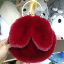 the BUNNY BAG - Cute Plush Rabbit Crossbody Bags for Women, Cute Purses and Handbags, New Rabbit Ear Shoulder Messenger Bag
