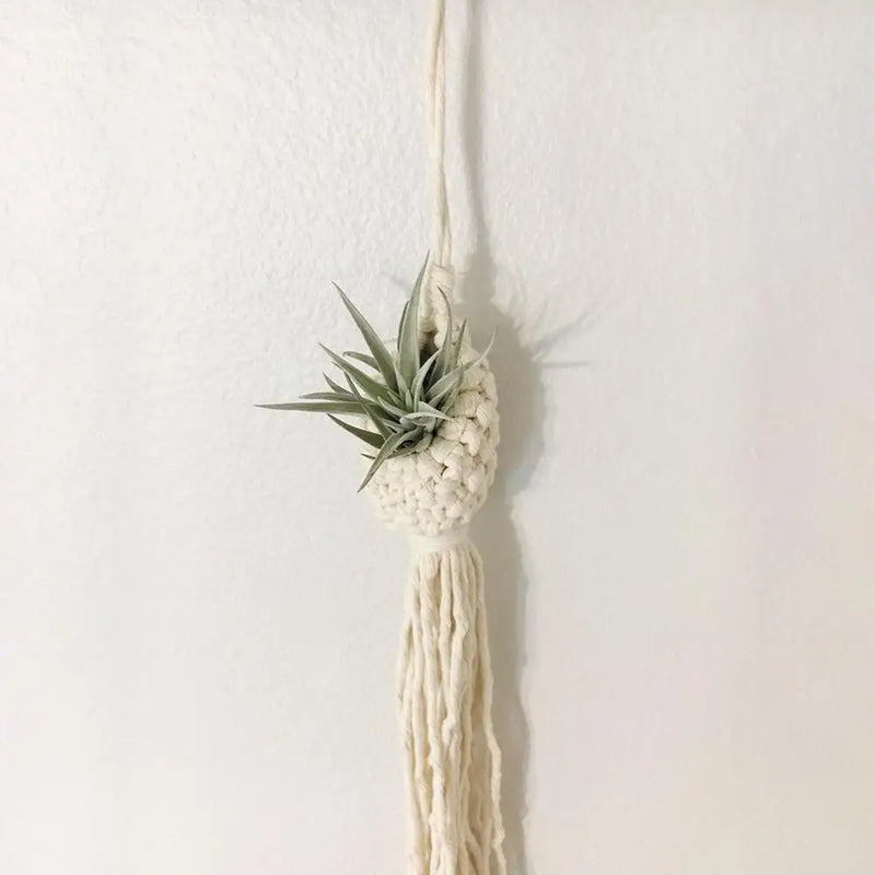 the WOVEN WALL - Macrame Wall Decor Handmade Tassel Holder Pineapple Display Wall Planter, Boho Flower Woven Basket Tapestry Wall Decor Macrame