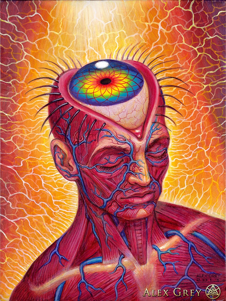 the CONSCIOUSNESS COLLECTION - Alex Grey Psychedelic Lover Trippy Posters and Prints Abstract Pictures