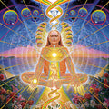 the CONSCIOUSNESS COLLECTION - Alex Grey Psychedelic Lover Trippy Posters and Prints Abstract Pictures