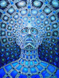 the CONSCIOUSNESS COLLECTION - Alex Grey Psychedelic Lover Trippy Posters and Prints Abstract Pictures