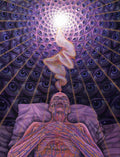 the CONSCIOUSNESS COLLECTION - Alex Grey Psychedelic Lover Trippy Posters and Prints Abstract Pictures