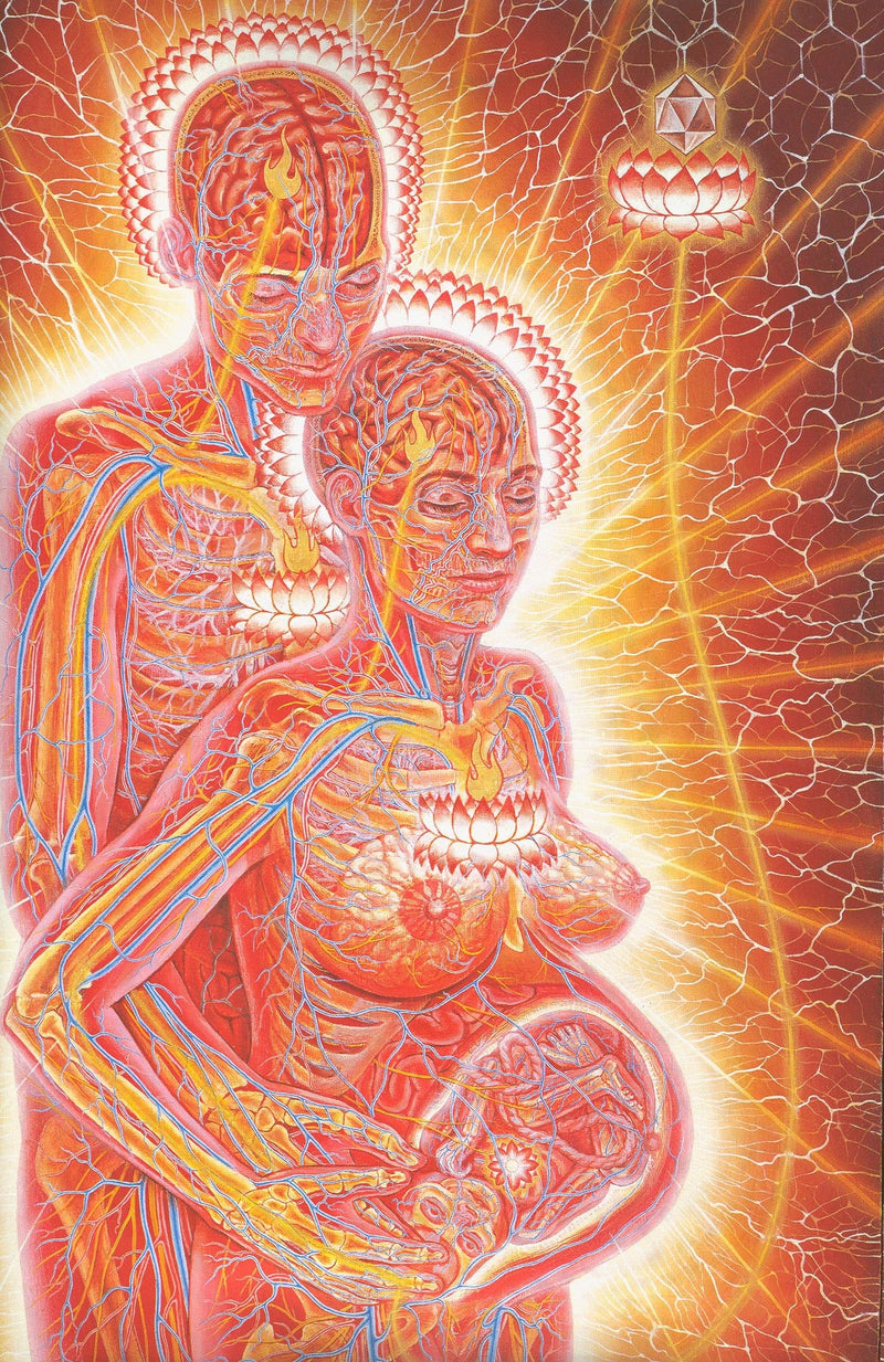 the CONSCIOUSNESS COLLECTION - Alex Grey Psychedelic Lover Trippy Posters and Prints Abstract Pictures