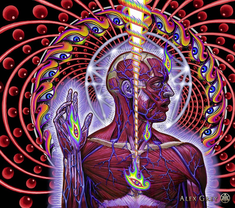 the CONSCIOUSNESS COLLECTION - Alex Grey Psychedelic Lover Trippy Posters and Prints Abstract Pictures