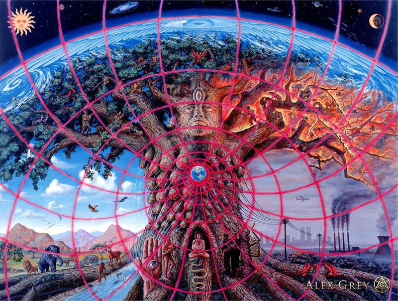 the CONSCIOUSNESS COLLECTION - Alex Grey Psychedelic Lover Trippy Posters and Prints Abstract Pictures