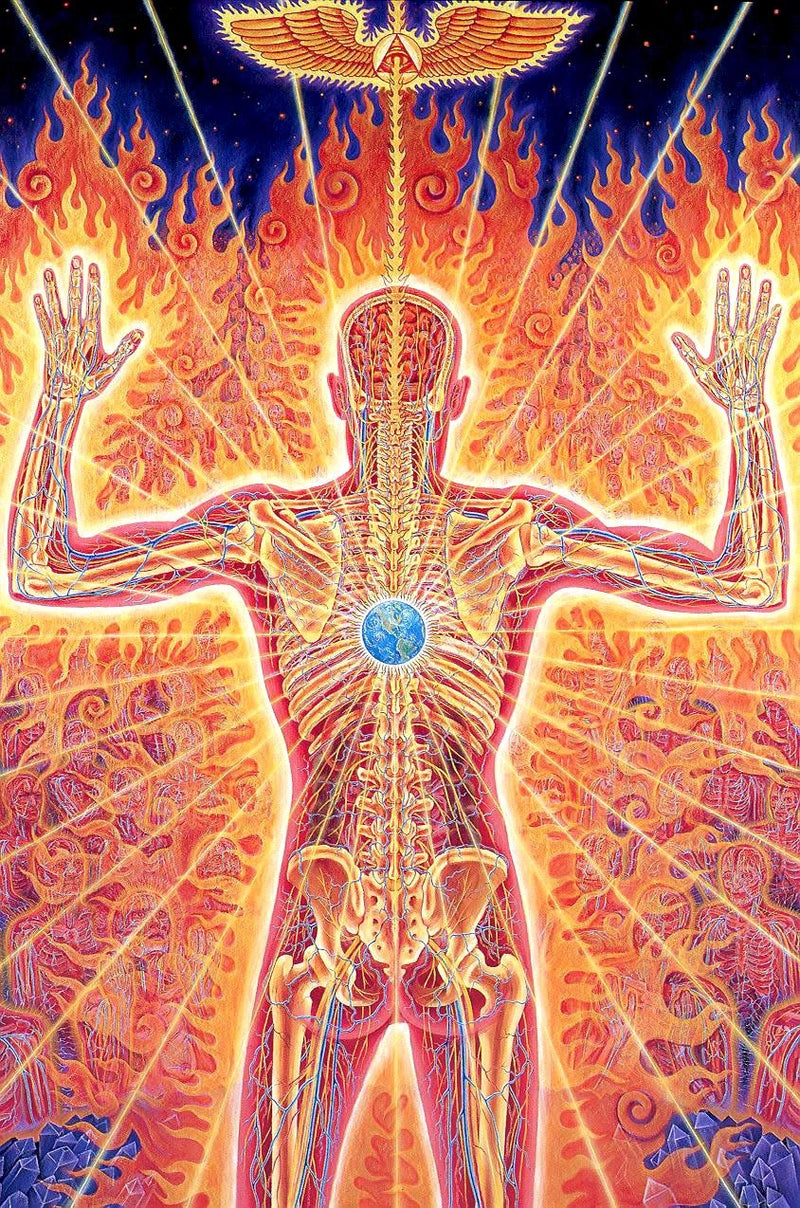 the CONSCIOUSNESS COLLECTION - Alex Grey Psychedelic Lover Trippy Posters and Prints Abstract Pictures